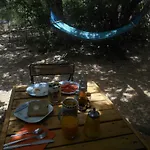La Del Alcornoque
